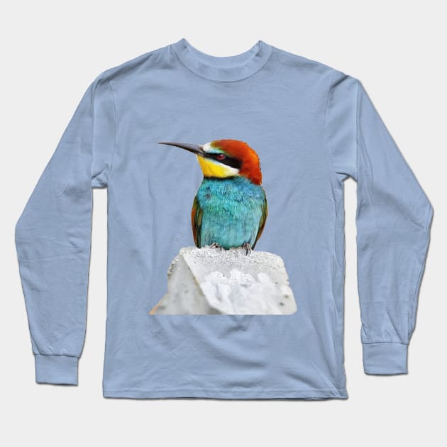 Brightly Colored European Bee Eater Vector Art Long Sleeve T-Shirt by taiche